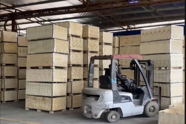 THÙNG GỖ PLYWOOD TẠI HẢI PHÒNG – GIẢI PHÁP VƯỢT TRỘI CHO VẬN CHUYỂN VÀ LƯU TRỮ